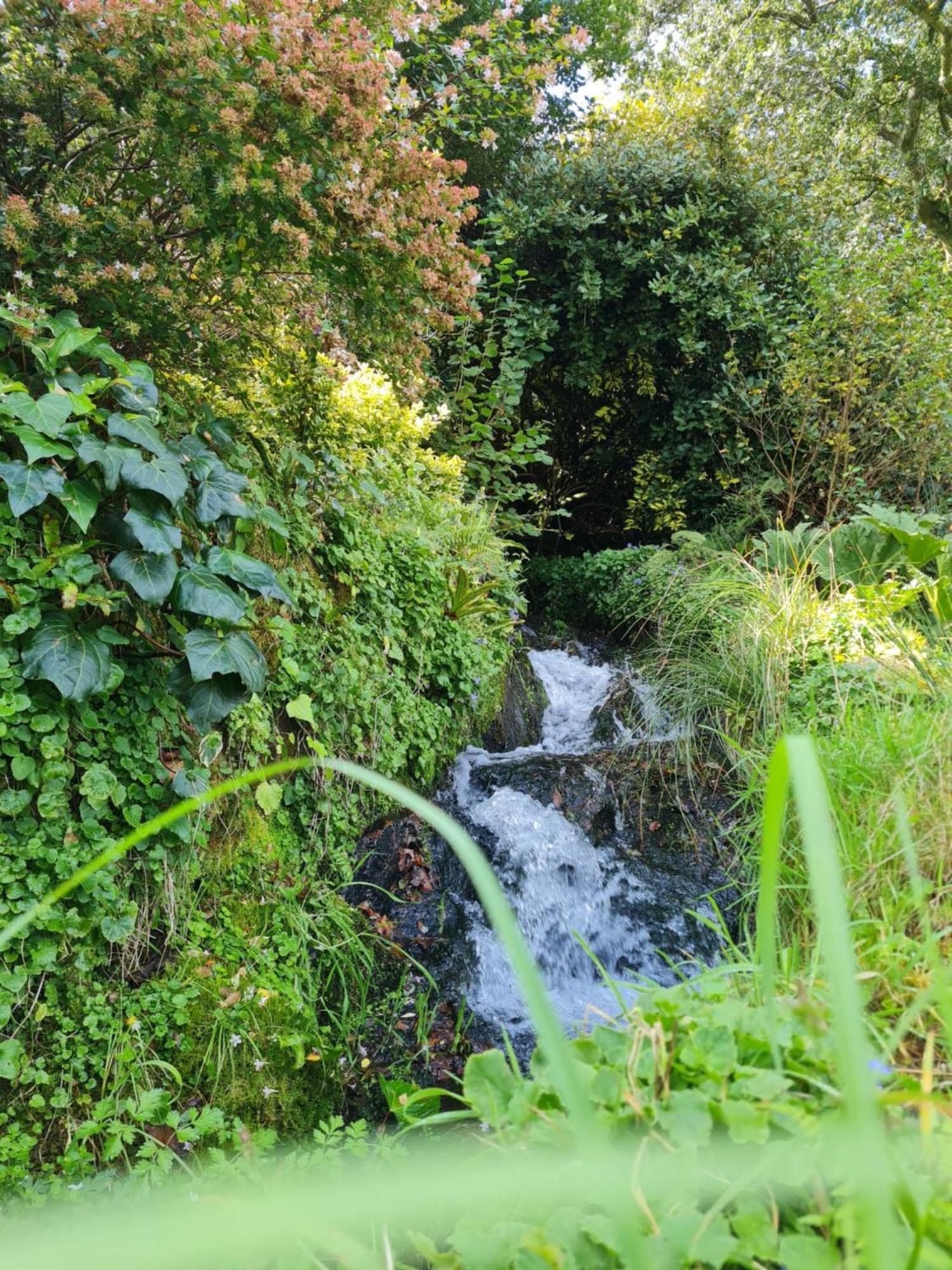 הוילה Plogonnec Moulin De Bonnescat מראה חיצוני תמונה